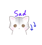 サバトラねこのスタンプ（英語版）（個別スタンプ：12）