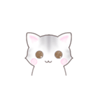 サバトラねこのスタンプ（英語版）（個別スタンプ：15）
