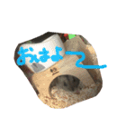 シャンプースタンプ♬（音符）（個別スタンプ：1）
