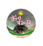 シャンプースタンプ♬（音符）（個別スタンプ：3）
