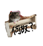 シャンプースタンプ♬（音符）（個別スタンプ：5）
