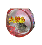 シャンプースタンプ♬（音符）（個別スタンプ：9）
