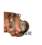シャンプースタンプ♬（音符）（個別スタンプ：16）