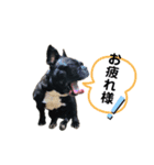 フレブル♡ココアちゃん♡3（個別スタンプ：7）
