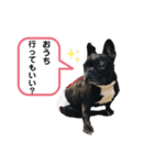 フレブル♡ココアちゃん♡3（個別スタンプ：10）