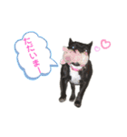 フレブル♡ココアちゃん♡3（個別スタンプ：14）