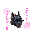 フレブル♡ココアちゃん♡3（個別スタンプ：20）