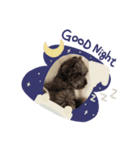 CoCoちゃんのワンダフルスタンプ（個別スタンプ：3）