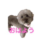 CoCoちゃんのワンダフルスタンプ（個別スタンプ：4）