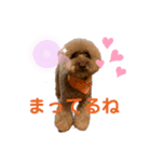CoCoちゃんのワンダフルスタンプ（個別スタンプ：6）