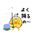 ピヨ田家の季節のスタンプ（個別スタンプ：20）
