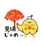 ピヨ田家の季節のスタンプ（個別スタンプ：29）
