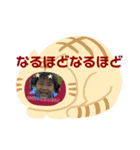 習志野市を全力応援②（個別スタンプ：1）