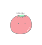 ぷちとまと！！！！！！！！！！（個別スタンプ：1）