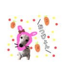 とらきちだワン！（個別スタンプ：3）