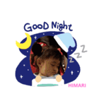 ひまりこすたんぷ（個別スタンプ：3）