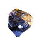 チワワ（cute）（個別スタンプ：7）