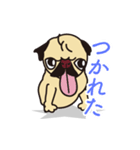 いつでも ぐうぐう犬 第2段（個別スタンプ：1）