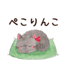 ねこのソルトとペッパー（個別スタンプ：5）