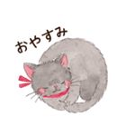 ねこのソルトとペッパー（個別スタンプ：8）