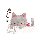ねこのソルトとペッパー（個別スタンプ：13）