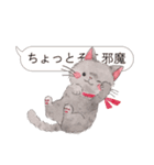 ねこのソルトとペッパー（個別スタンプ：16）