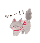ねこのソルトとペッパー（個別スタンプ：29）