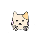 動物さんシリーズ（個別スタンプ：14）