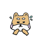 動物さんシリーズ（個別スタンプ：24）