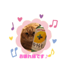 みるくとトム 2（個別スタンプ：1）