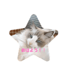 みるくとトム 2（個別スタンプ：5）