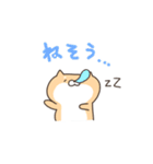 ゆるいぬねこのスタンプ（個別スタンプ：19）