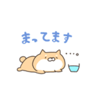 ゆるいぬねこのスタンプ（個別スタンプ：25）
