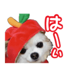 今日もやっぱり、りんちゃんとみくちゃん（個別スタンプ：1）