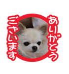 今日もやっぱり、りんちゃんとみくちゃん（個別スタンプ：2）