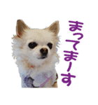 今日もやっぱり、りんちゃんとみくちゃん（個別スタンプ：3）