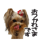 今日もやっぱり、りんちゃんとみくちゃん（個別スタンプ：4）
