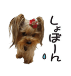 今日もやっぱり、りんちゃんとみくちゃん（個別スタンプ：7）