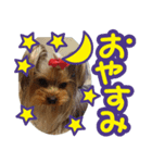 今日もやっぱり、りんちゃんとみくちゃん（個別スタンプ：8）