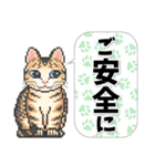 猫たちのスタンプ 1（個別スタンプ：20）