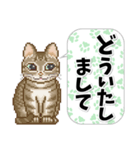 猫たちのスタンプ 1（個別スタンプ：22）