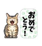 猫たちのスタンプ 1（個別スタンプ：23）