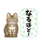 猫たちのスタンプ 1（個別スタンプ：24）