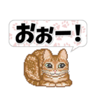 猫たちのスタンプ 1（個別スタンプ：33）