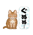 猫たちのスタンプ 1（個別スタンプ：38）