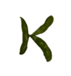 edamame abc（個別スタンプ：11）