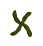 edamame abc（個別スタンプ：24）