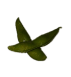 edamame abc（個別スタンプ：34）