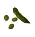 edamame abc（個別スタンプ：37）