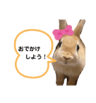 マシュマロン+飼い主（個別スタンプ：5）